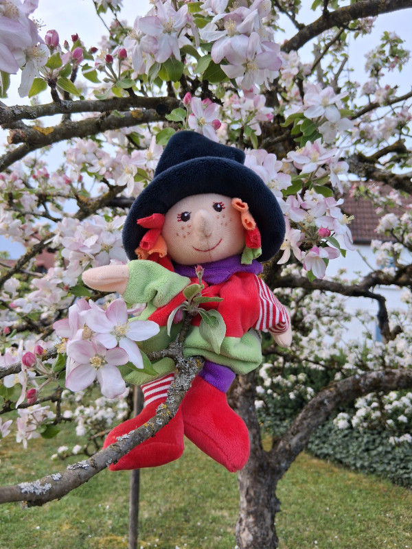 Unsere Apfelbaum-Hexe